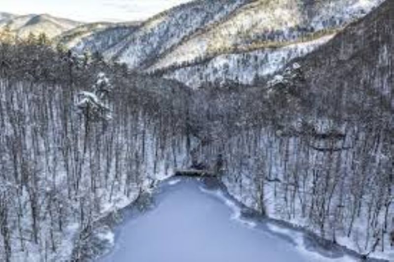 Yedigöller Milli Parkı