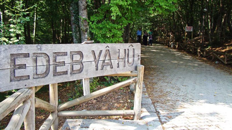 Hayreddin-i Tokadi Türbesi